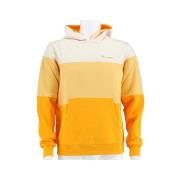 Sweater Champion American Classic