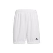Korte Broek adidas Entrada 22