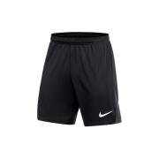 Korte Broek Nike Drifit Academy Pro