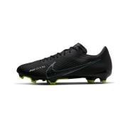 Voetbalschoenen Nike Zoom Vapor 15 Academy Fgmg