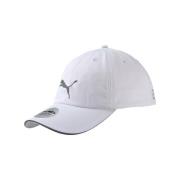 Pet Puma Running Iii