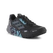 Hardloopschoenen adidas Terrex Agravic Flow 2 Gtx
