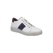 Lage Sneakers Josef Seibel Maddox