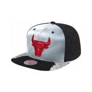 Pet Mitchell And Ness Day 5 Snapback Chicago Bulls