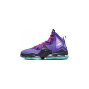 Basketbalschoenen Nike Lebron Xix