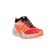 Hardloopschoenen Salomon Sense Ride 5