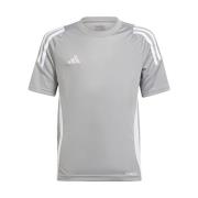 T-shirt Korte Mouw adidas IS1031