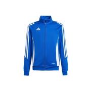 Sweater adidas Tiro 24 Training Jr