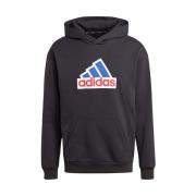 Sweater adidas Fi Bos Hd Oly
