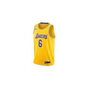 T-shirt Korte Mouw Nike Nba Los Angeles Lakers Lebron James Swingman