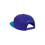 Pet Mitchell And Ness Charlotte Hornets