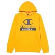 Sweater Champion Hooded Sweatshirt