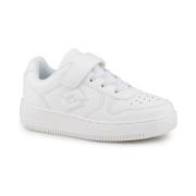 Lage Sneakers Lotto Paliot Oc K