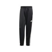 Trainingsbroek adidas JN1822000