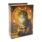 Manden en dozen Signes Grimalt Kattenboekendoos