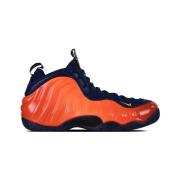 Setjes Nike Air Foamposite One Rugged
