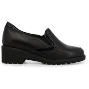 Mocassins Melluso R35727Z-254498