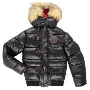 Donsjas Geographical Norway BUGS