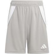 Korte Broek adidas Tiro24 Sho Y