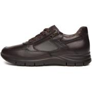 Lage Sneakers NeroGiardini Vienna 3751 Eva Andalo 8770/004