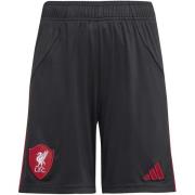 Korte Broek adidas Lfc A Sho Y
