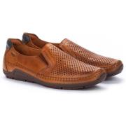 Instappers Pikolinos Azores