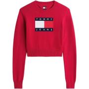 Trui Tommy Hilfiger TJW SPARKLE FLAG SWE DW0DW21690