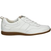 Lage Sneakers Paul Green Sneaker