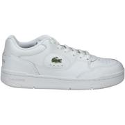 Lage Sneakers Lacoste Sneaker