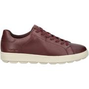 Lage Sneakers Geox Sneaker
