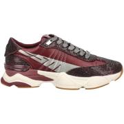 Lage Sneakers Steve Madden Sneaker