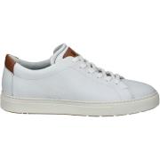 Lage Sneakers Lloyd Sneaker