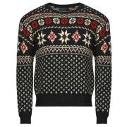 Trui Polo Ralph Lauren PULL SNOW FALKS
