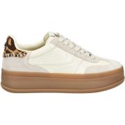 Sneakers Steve Madden Sneaker