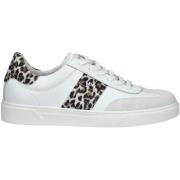 Lage Sneakers NeroGiardini Sneaker