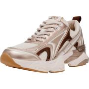 Lage Sneakers Steve Madden Sneaker