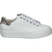 Sneakers Paul Green Sneaker