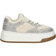 Sneakers Steve Madden Sneaker