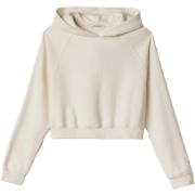 Trainingsjack Hinnominate Cappuccio A Scatoletta Con Manica Raglan