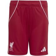 Korte Broek adidas Lfc H Sho Y