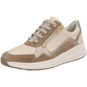 Sneakers Solidus Kitty