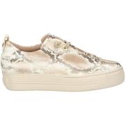 Lage Sneakers Paul Green Sneaker