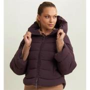 Windjack Freddy F25WPJJ15