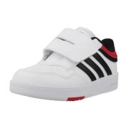 Lage Sneakers adidas HOOPS 4.0 CF I