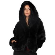 Windjack La Modeuse 76503_P181255