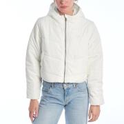 Windjack Vans VN000H5E-VNFS8