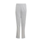 Trainingsbroek adidas Squadra 25