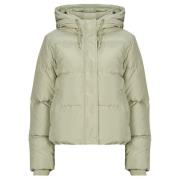 Donsjas Only ONLALICE SHORT DOWN