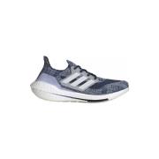 Hardloopschoenen adidas Ultraboost 21 Primeblue