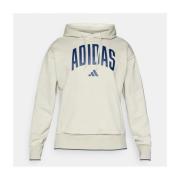 Sweater adidas M COLLEGIATE HD